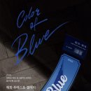 대한광고연합