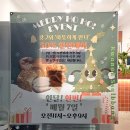 관악역 쌀빵 | 관악역 쌀빵 안양 만안구 석수동 빵집