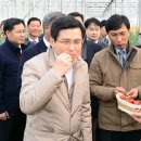 우듬지농장 이미지