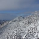 성수산목장 이미지