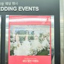 부산 결혼준비 예비신부의 웨딩홀 투어, 그랜드블랑 미라벨가든 계약 후기! 센텀호텔도 다녀옴