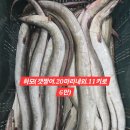 참조기,갑오징어,암꽃게,갑오징어,제주은갈치,아구 각종생선 이미지