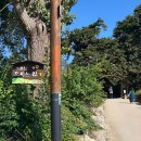 고운님 | 📍[경주시,교동] 고운님들 주목🎀 교촌마을 300년 고택 카페 고운님 오시는길찻집, 복분자 빙수 후기