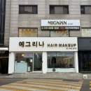 예그리나헤어 이미지