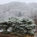 대성건재 이미지