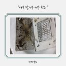 두류공원로 화장실 이미지