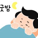 리베라관광펜션 이미지
