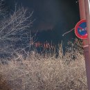 야산1 노컷뉴스