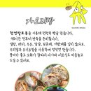 느티숲 이미지