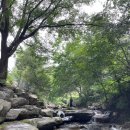 산중계곡캠핑장 이미지