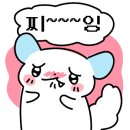 하스베이커 이미지