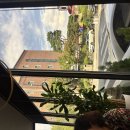 교수님이 쏘셨습니다~( Prof. Kim treated us to lunch) 이미지