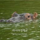 갤러리하마 이미지