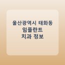 미플러스치과의원 | 울산광역시 태화동 임플란트 종류·가격·후기 정리 및 추천 치과