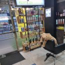 커틸다헤어살롱 이미지