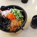 국수나무 양지점 네이버블로그
