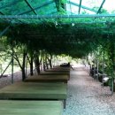 소풍펜션 이미지