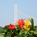 예산 예당저수지 출렁다리 전경 사진 이미지