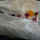 산호동297 이미지