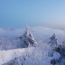 우장산주유소 이미지