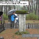 한반도관광 이미지