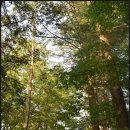 용흥사진입로 이미지