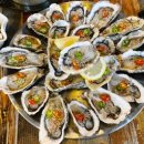 인디언짐 이미지