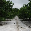 민제농장 이미지