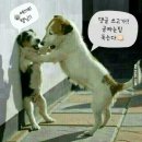 명동부동산공인중개사사무소 이미지