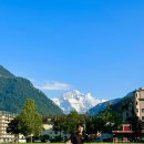 웅이민박 | 우당탕탕 스위스 (1) 신혼여행은 스위스로 갈래요