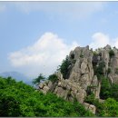 경주프라자약국 이미지