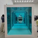 성화우리약국 | [공지] 놀이동산 같은 데이미언 허스트 전시 - 관람후기 에세이