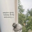 "잔잔한 물결이 다정한 것처럼"~~ 이미지