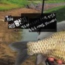 곡성-195 이미지