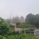 봉화순대