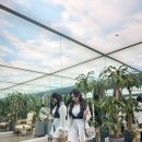 감정동 566 이미지