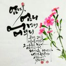 서예와 캘리그라피 이미지