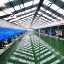 경춘낚시터 이미지