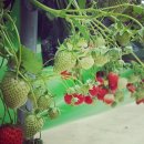 해천농장 이미지