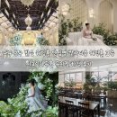 시크릿가든 | 대구 동구 밝은 웨딩 칼라디움 웨딩홀 시크릿가든홀 뮤지컬 주차 하객 뷔페 후기