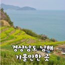 남해-남해-남면-비-2 | [경남/남해] 4월 국내 여행지 추천 남해 벚꽃 유채꽃 명소 개화 4월 7일 실시간