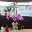 삼거리회수산 이미지