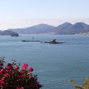 풍차언덕 이미지