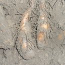 예밀농장 이미지