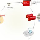 항암 면역세포 치료 : 이뮨셀 이미지