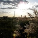 하늘공원 이미지