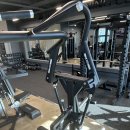 디랙스로터리풀다운 뉴디스 핵스쿼트파워레그프레스 콤보 어시스트친업 개선 원판덤벨 샤우부스 팝니다 이미지