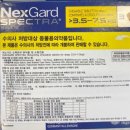 까치산메가약국 이미지