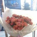 사파동151 이미지