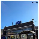 공설운동장삼거리 교차로 | [운탄고도]8길(도계역-신기역)2025.12.3